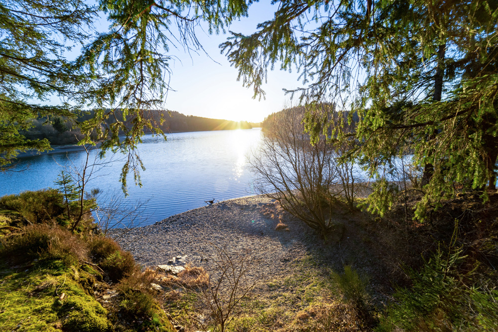 Lac de Butgenbach - Holzheimer Hütte